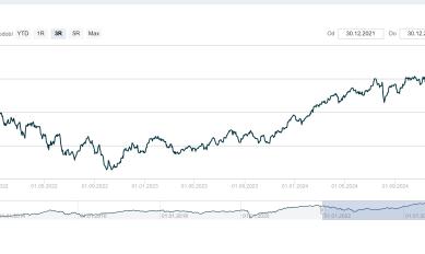 Rok 2024 v číslech